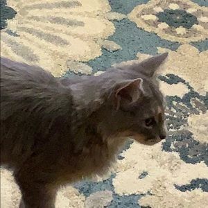 Meet your Posher, Fadia